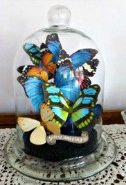 Butterfly cloche wedding centrepiece
